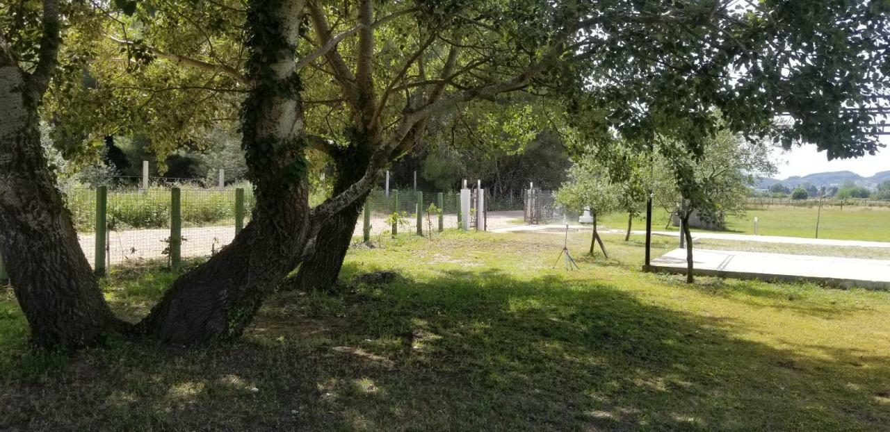 Riviera Inn Apartments Ούλτσιν Εξωτερικό φωτογραφία